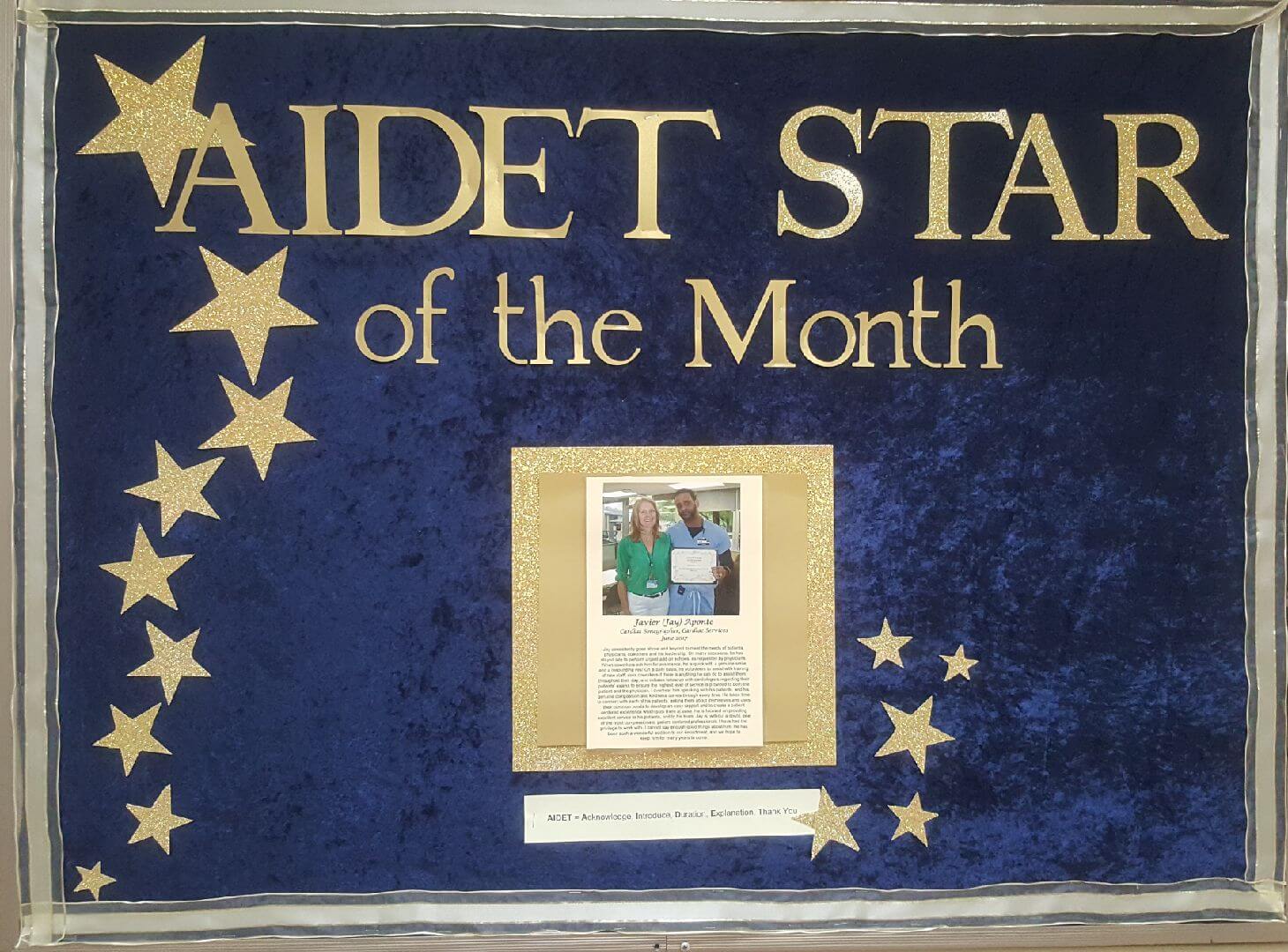 aidet_star_award.jpeg