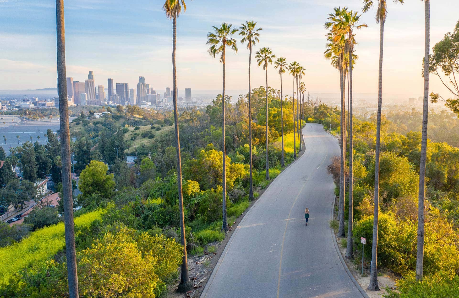 Palm tree lined street in downtown Los Angeles, California