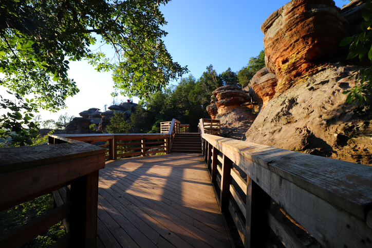 nature trail in Shawnee National Forest Illinois.jpg