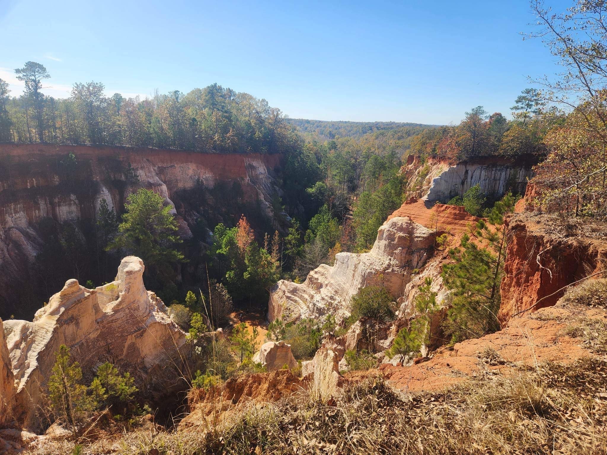 Providence Canyon in Atlanta.JPG