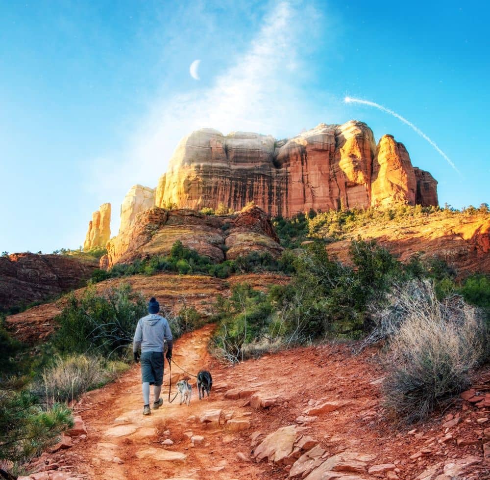 man walking dogs in desert