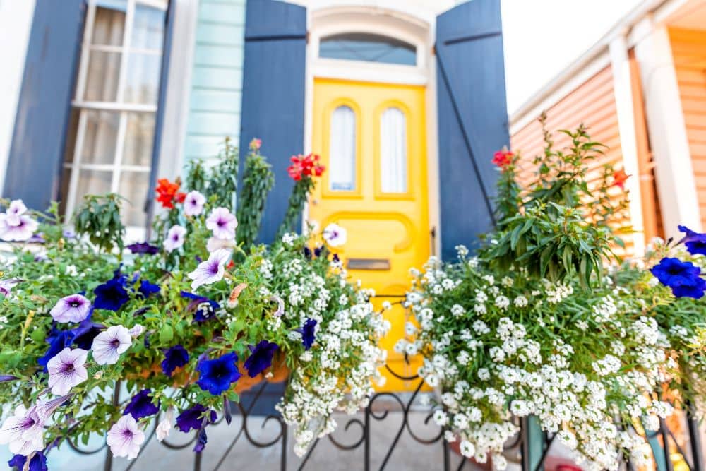flowers in front of house