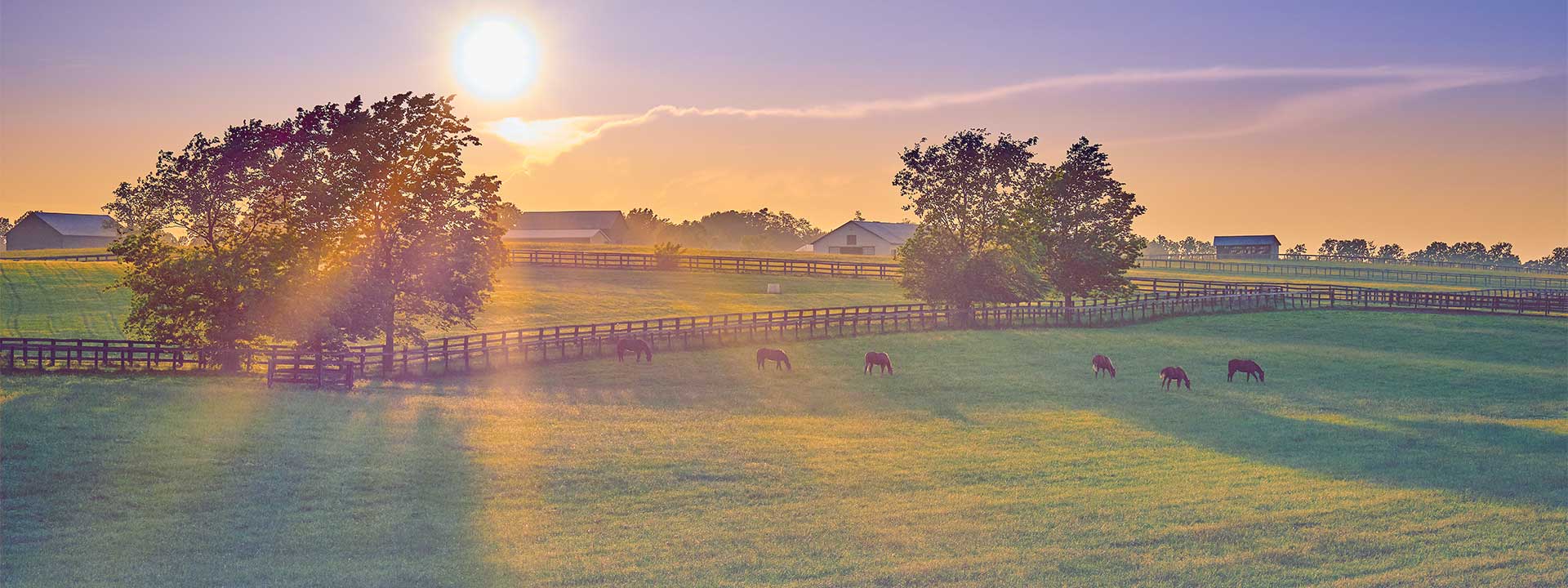 Kentucky Jobs