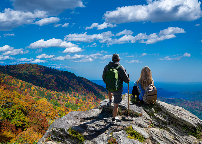 North Carolina SLP License